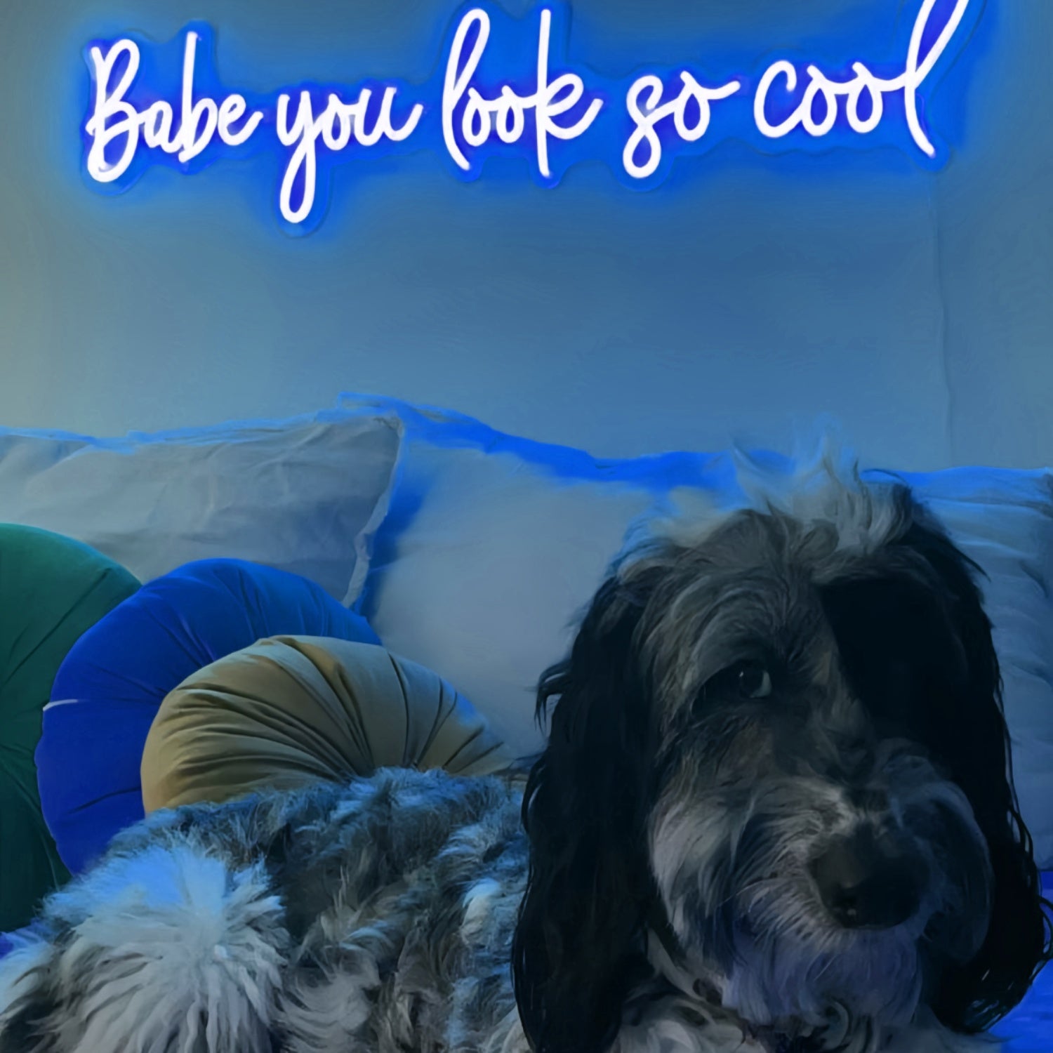 Babe Youre Absolutely Cool Neon Sign | Shineneon