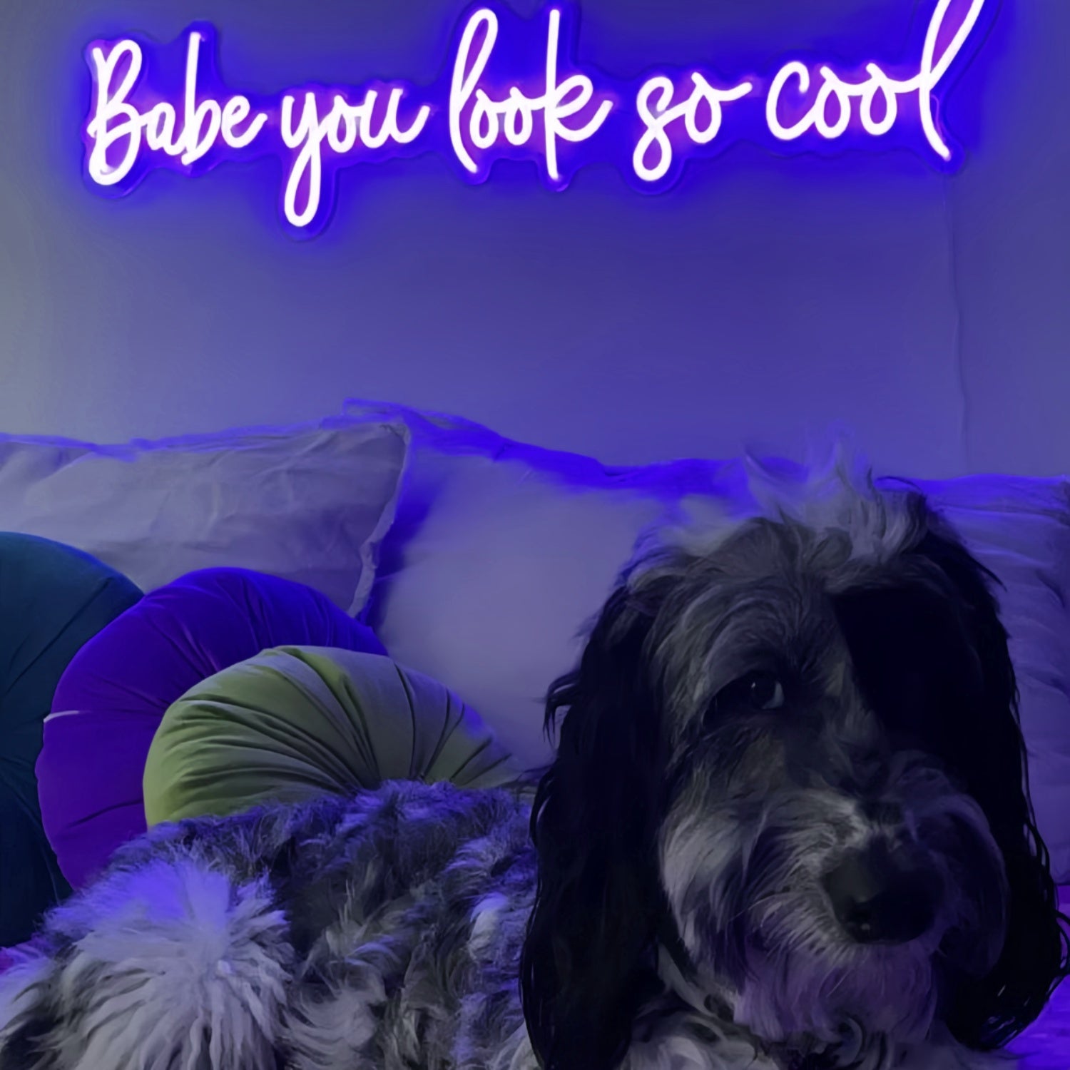 Babe Youre Absolutely Cool Neon Sign | Shineneon