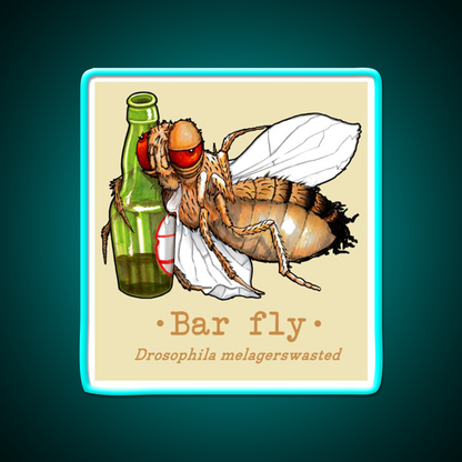 Bar Fly Beer Bar Decor Led Neon Sign Rgb Color - Size and dimension reference