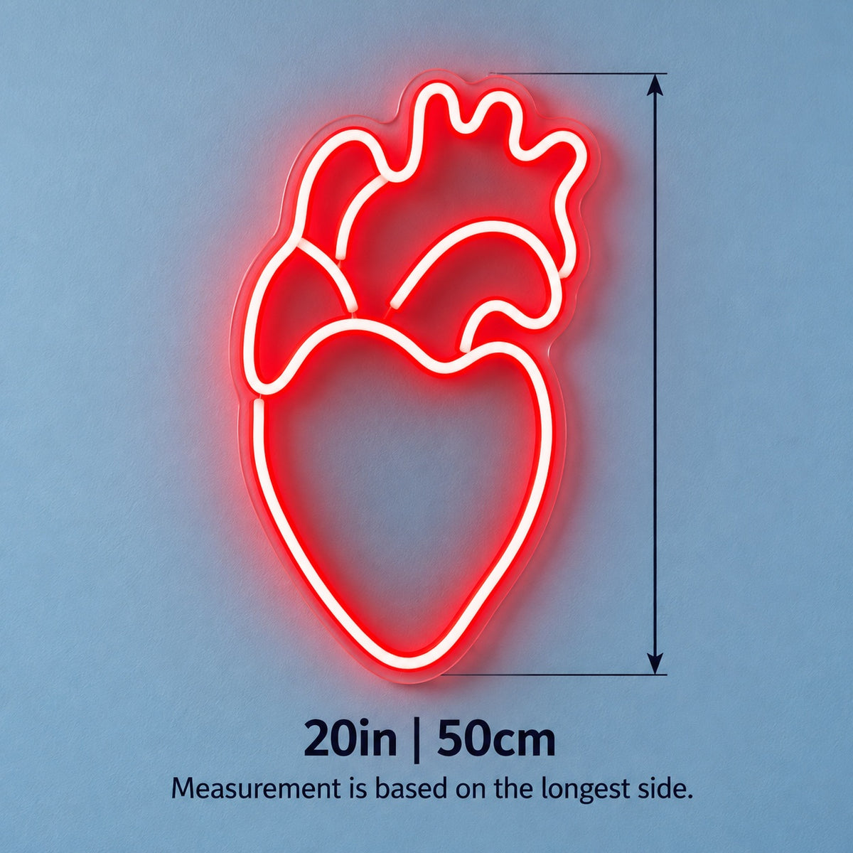 Anatomical Heart LED Neon Sign - size guide