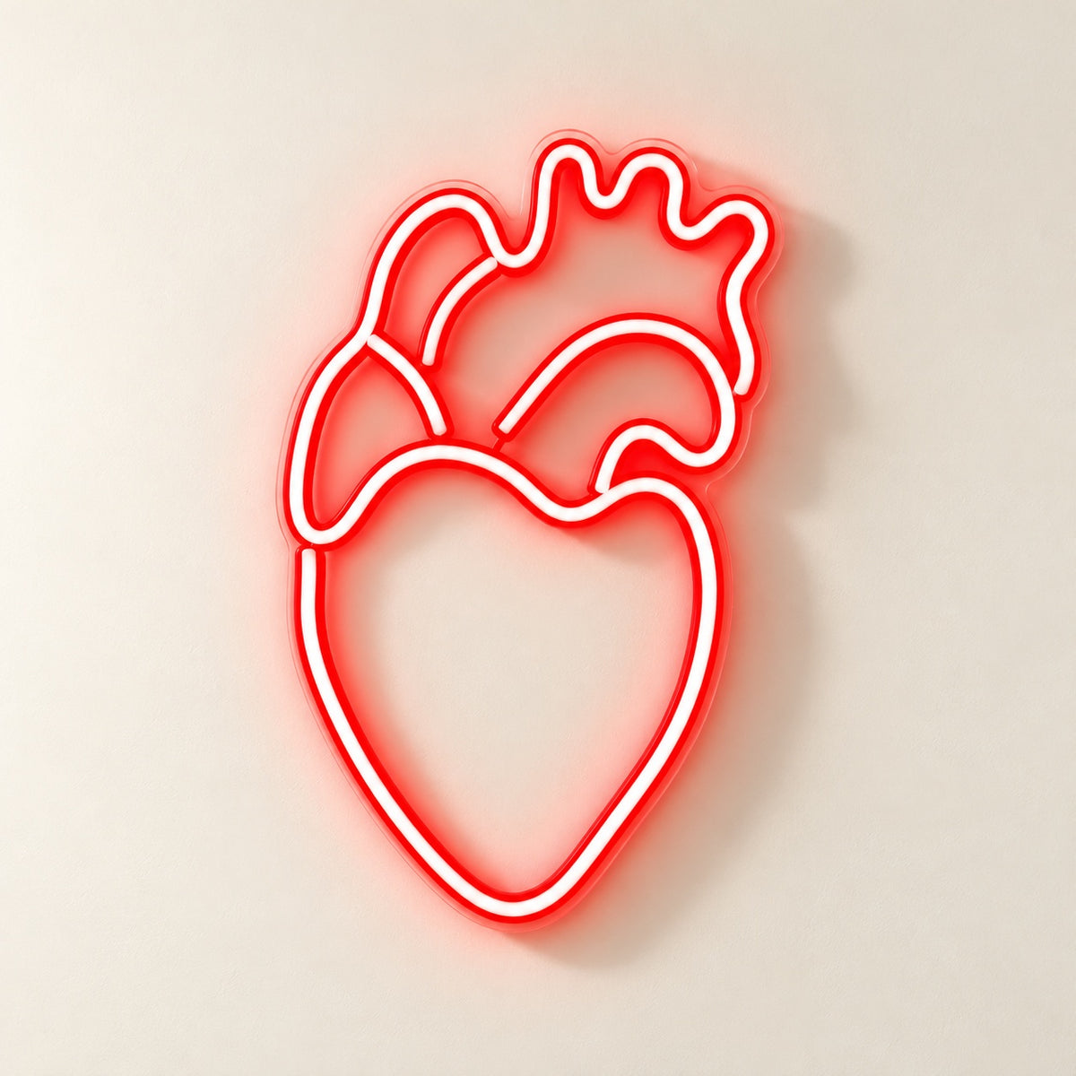 Anatomical Heart LED Neon Sign - natural light view