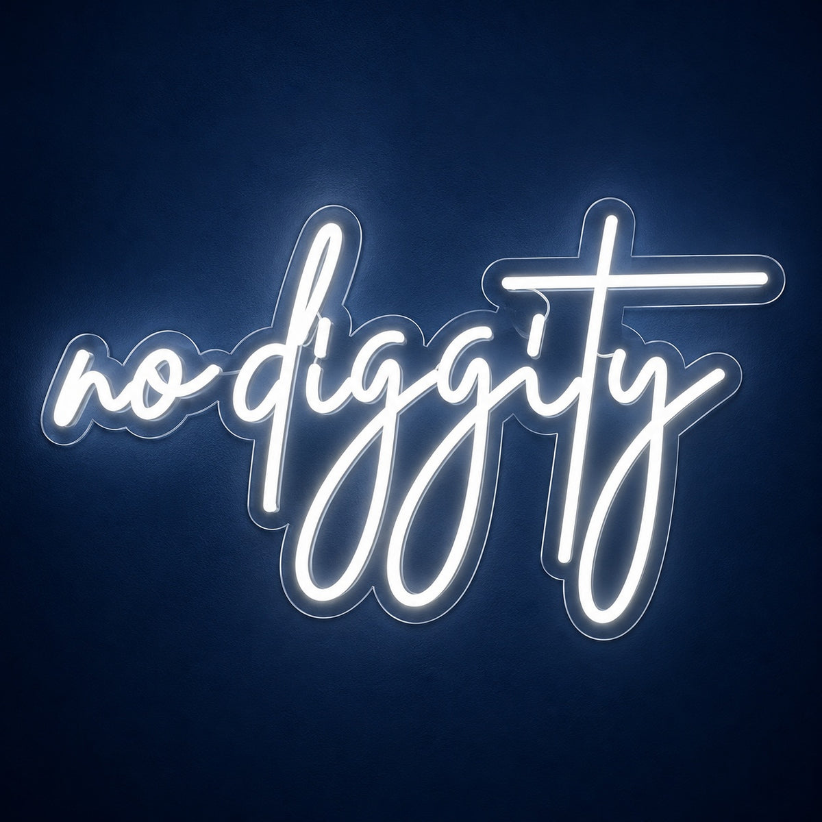 No Diggity LED Neon Sign - product hero