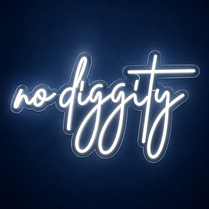 No Diggity LED Neon Sign - product hero