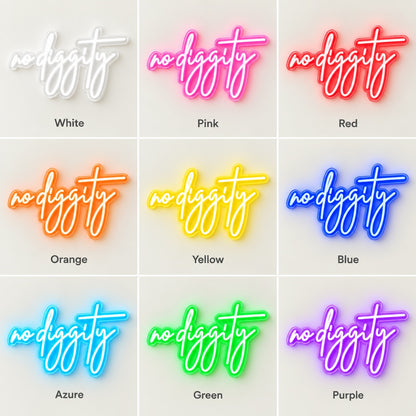 No Diggity LED Neon Sign - nine-color grid