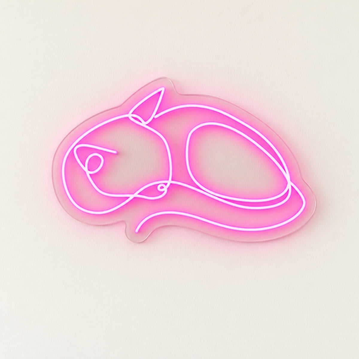 Sleeping Cat LED Neon Sign - natural light view