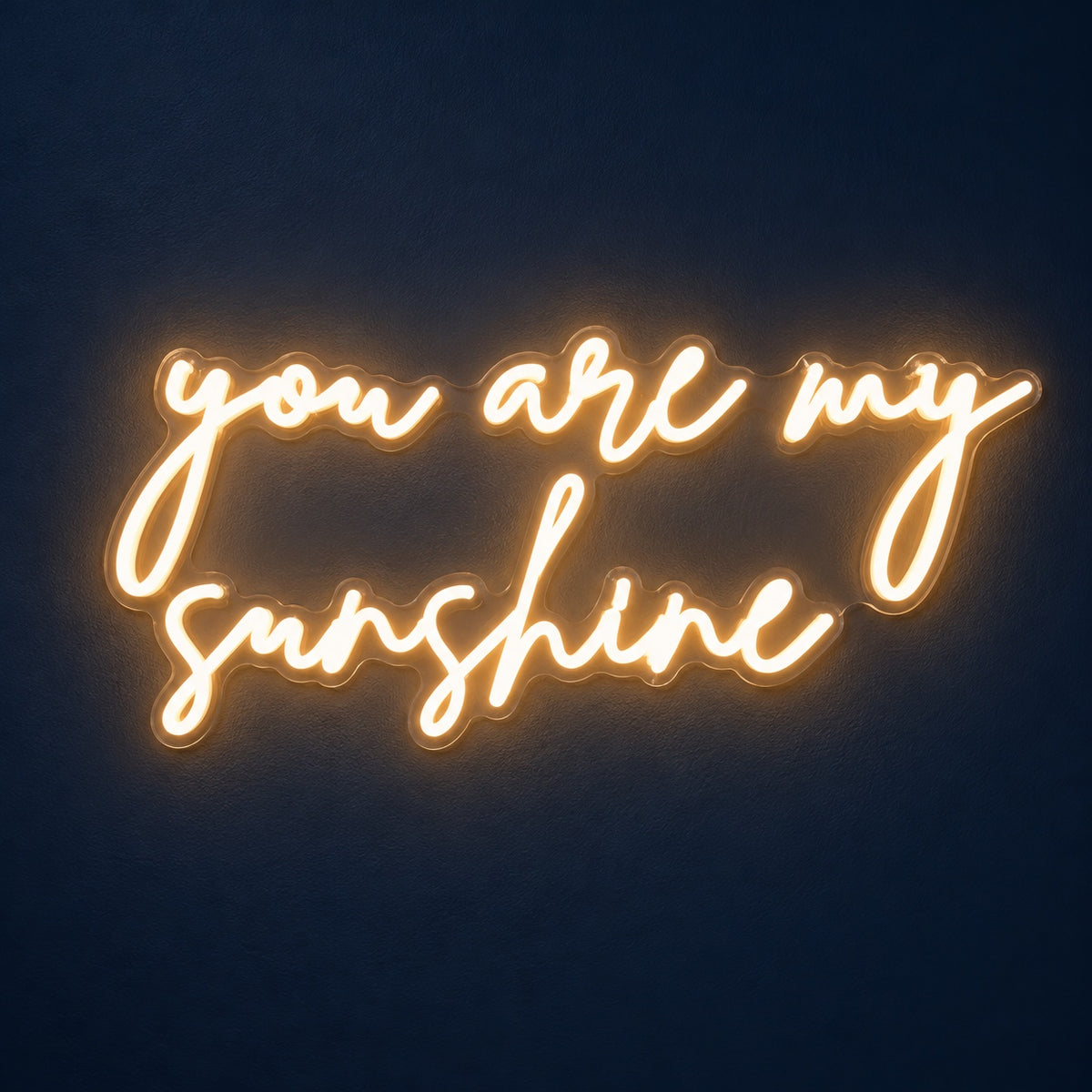 You Are My Sunshine LED Neon Sign - product hero