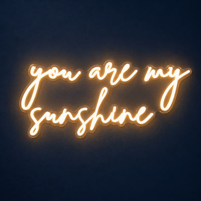 You Are My Sunshine LED Neon Sign - product hero