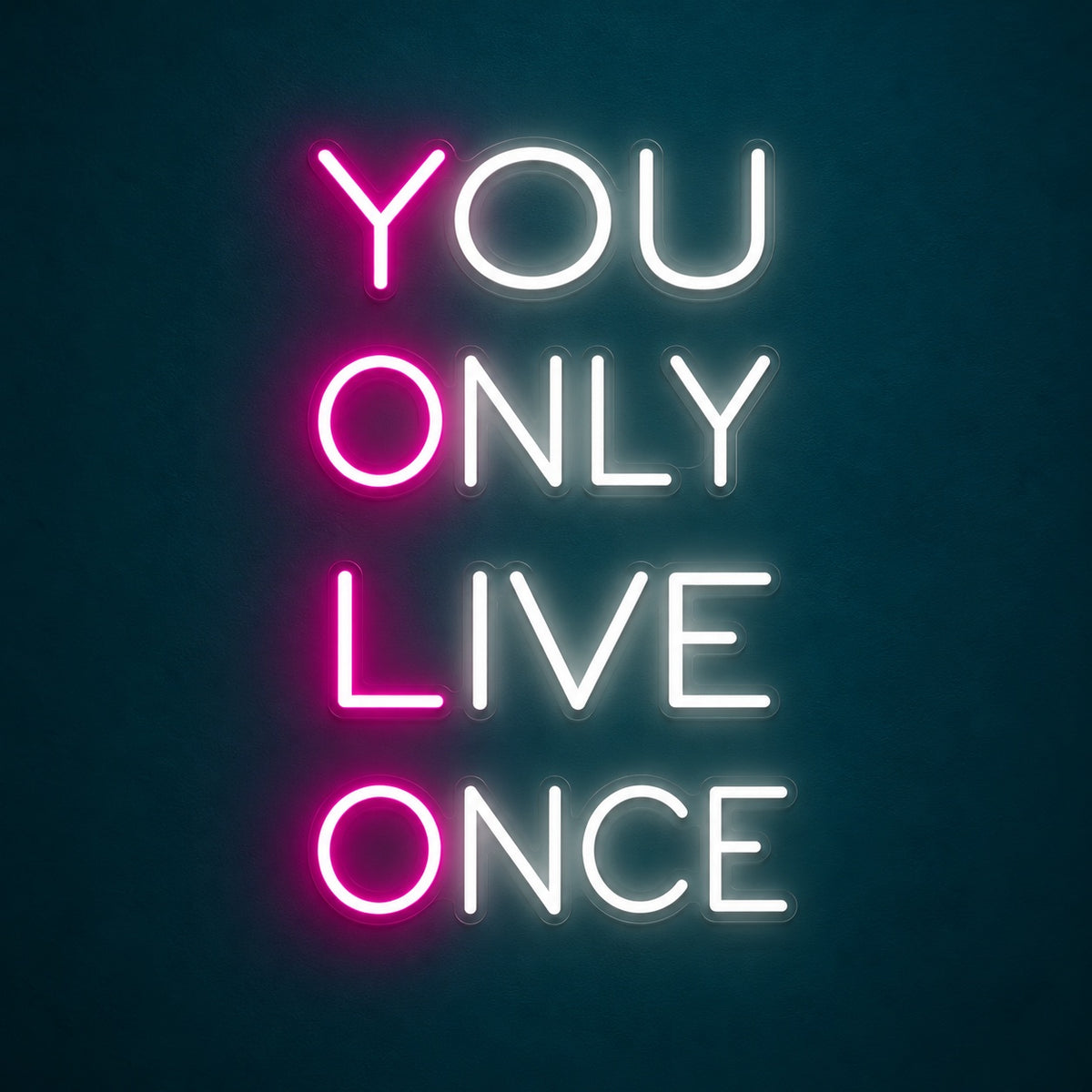 You Only Live Once LED Neon Sign - product hero
