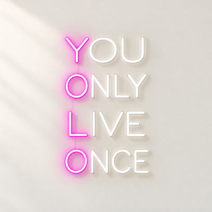 You Only Live Once LED Neon Sign - natural light view
