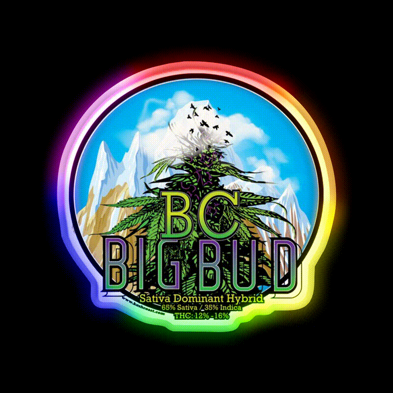 Bc Big Bud Strain Art Hemp Inspired Green Leaf Led Neon Sign Rgb Color - LED neon sign close-up detail