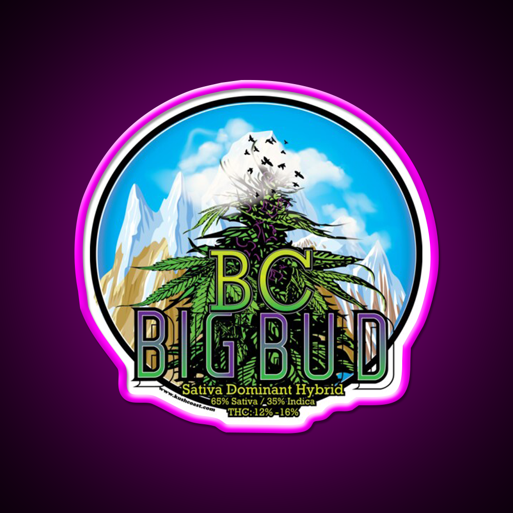 Bc Big Bud Strain Art Hemp Inspired Green Leaf Led Neon Sign Rgb Color - Neon sign mounted on wall in room