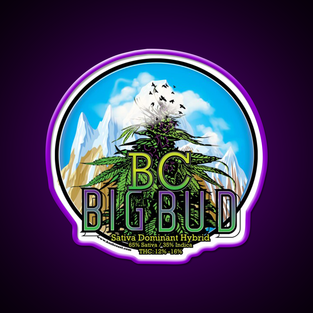 Bc Big Bud Strain Art Hemp Inspired Green Leaf Led Neon Sign Rgb Color - LED neon sign view 9