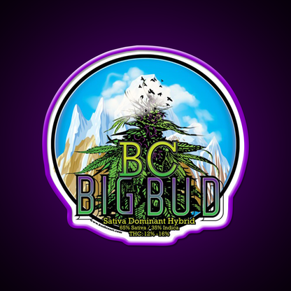 Bc Big Bud Strain Art Hemp Inspired Green Leaf Led Neon Sign Rgb Color - LED neon sign view 9