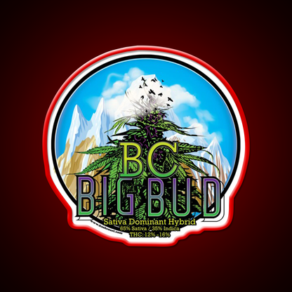 Bc Big Bud Strain Art Hemp Inspired Green Leaf Led Neon Sign Rgb Color - LED neon sign view 10