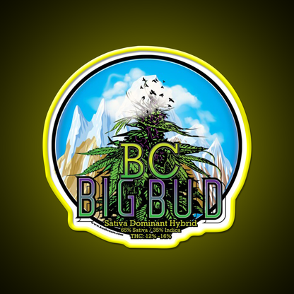 Bc Big Bud Strain Art Hemp Inspired Green Leaf Led Neon Sign Rgb Color - LED neon sign view 7