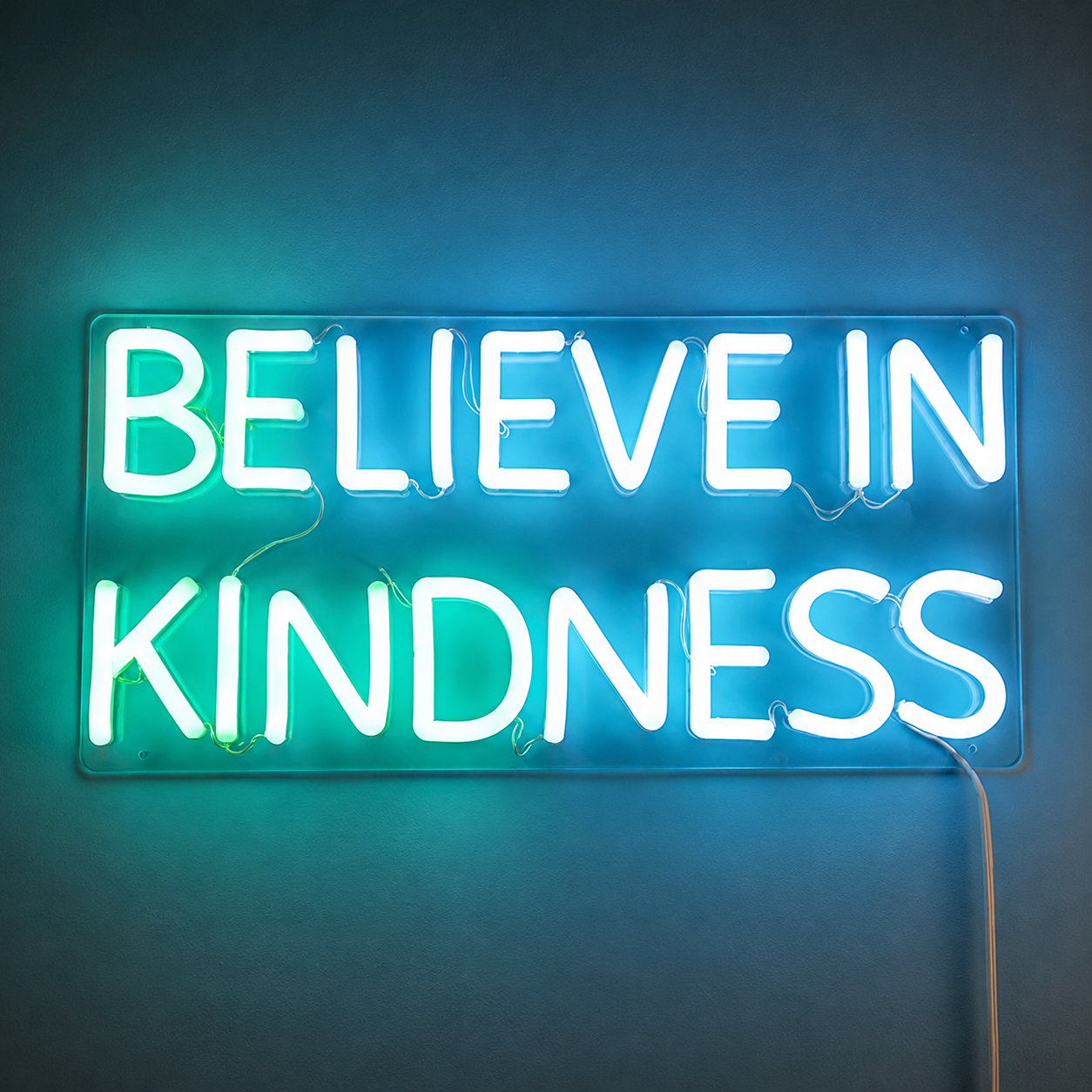 Be Kind Phrase Wall Light LED Neon Sign - 02 High-Converting Product Image