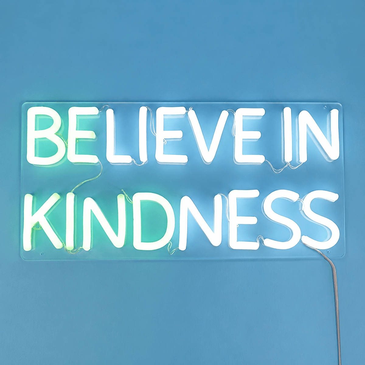 Be Kind Phrase Wall Light LED Neon Sign - Shineneon