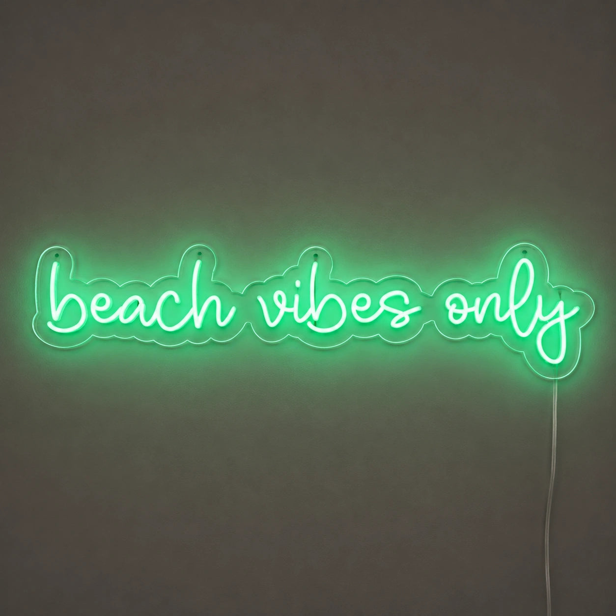 Beach Vibes Only Neon Sign LED Neon Sign main product image