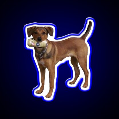 Beer Drinking Dog Beer Bar Decor Led Neon Sign Rgb Color - LED neon sign view 5