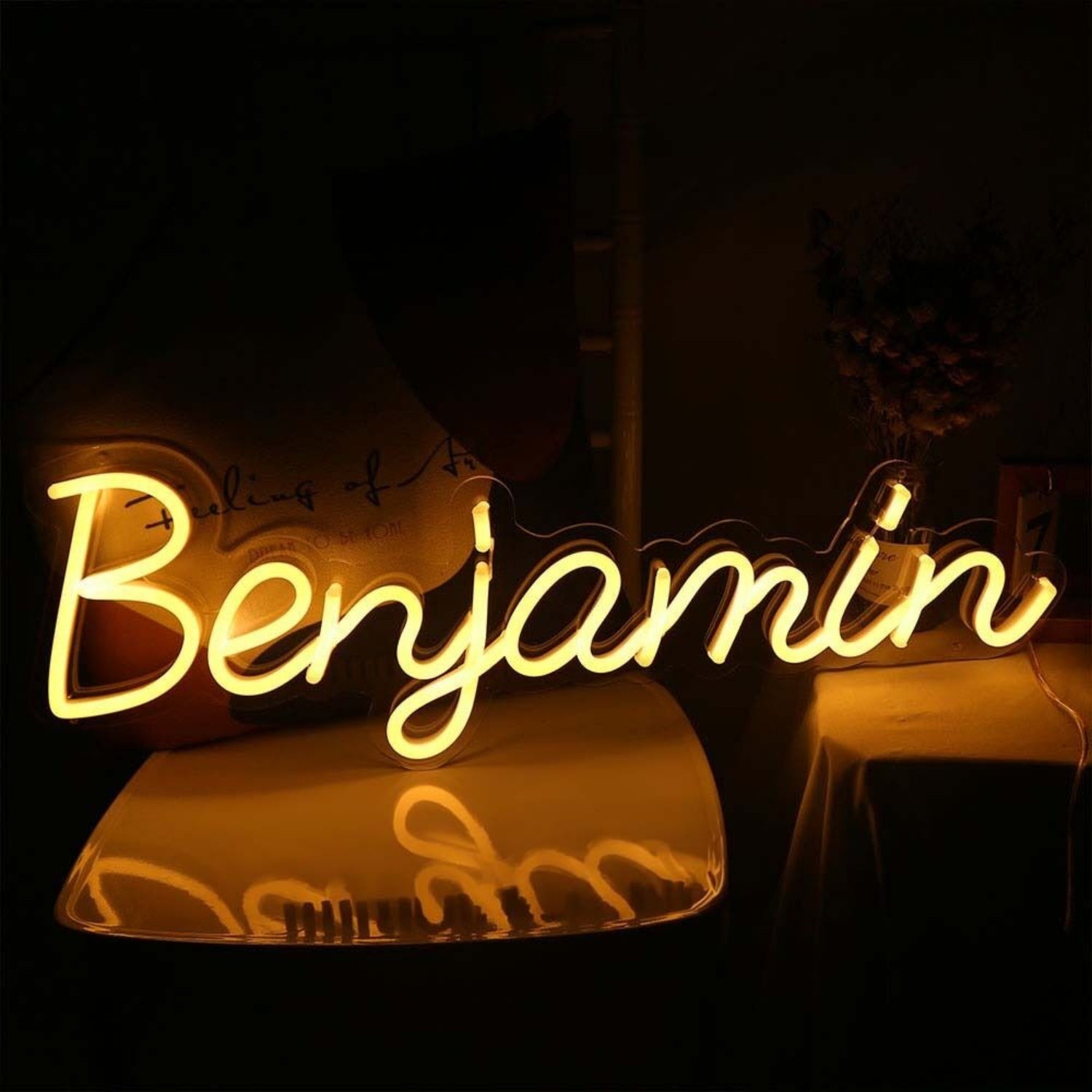 Benjamin Led Neon Sign - Shineneon