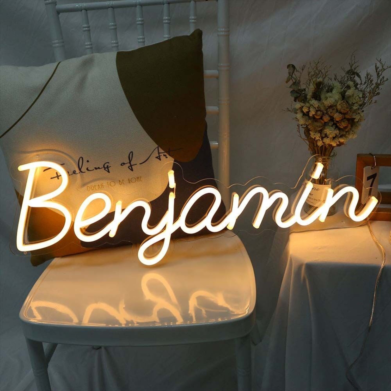 Benjamin Led Neon Sign - Shineneon