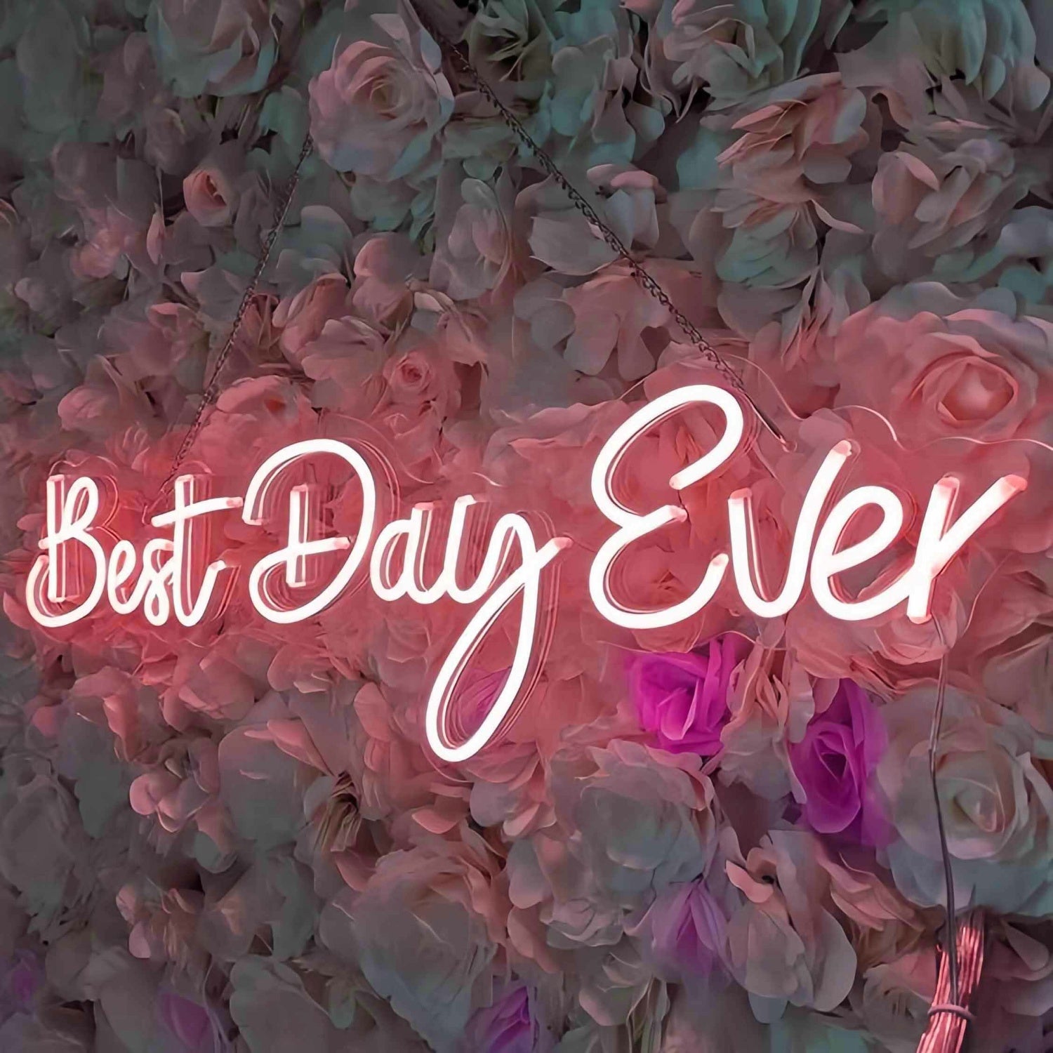Best Day Ever Style 1 Neon Sign To Light Up Your Life | Shineneon