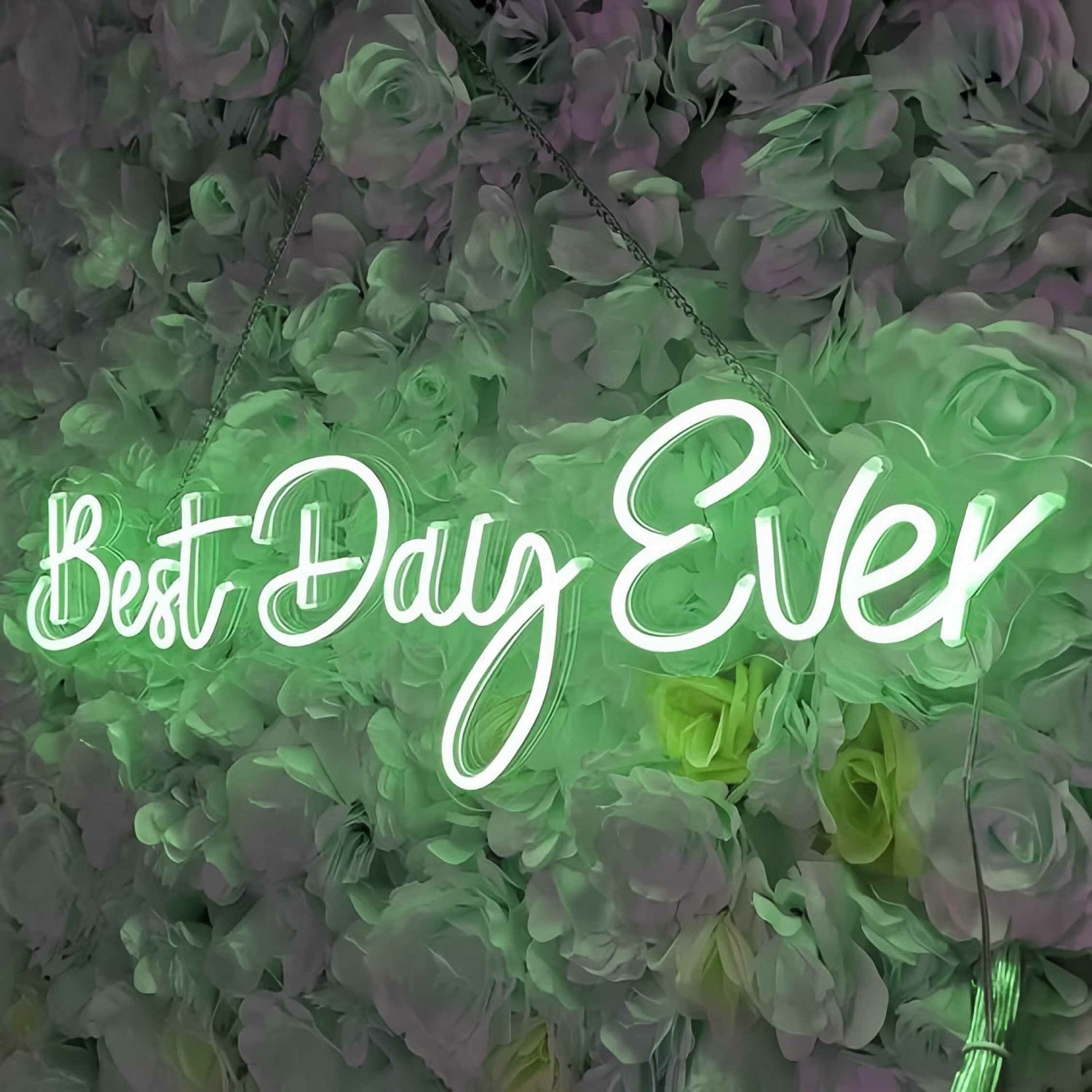 Best Day Ever Style 1 Neon Sign To Light Up Your Life | Shineneon