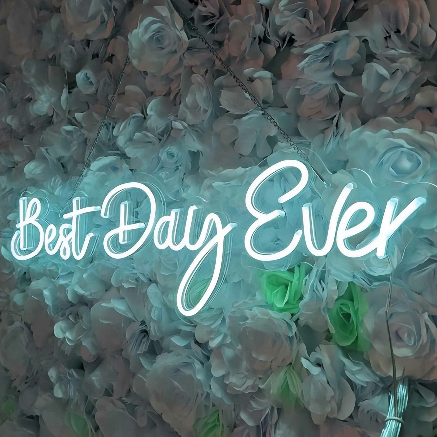 Best Day Ever Style 1 Neon Sign To Light Up Your Life | Shineneon
