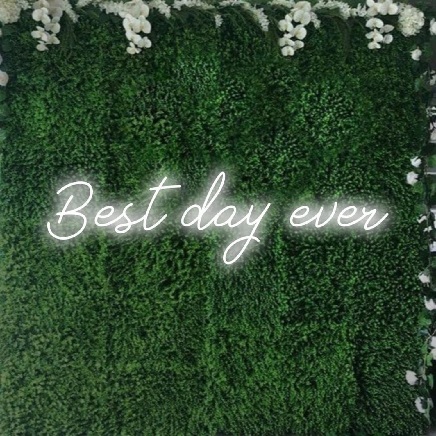 Best Day Ever White Glowing Led Neon Sign For Wedding Party Decor | Shineneon