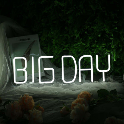 Big Day White Neon Sign | Shineneon