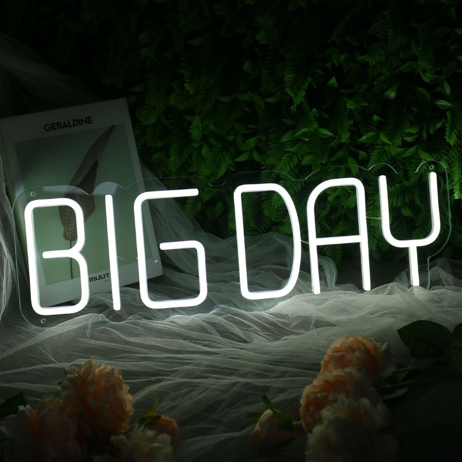 Big Day White Neon Sign | Shineneon