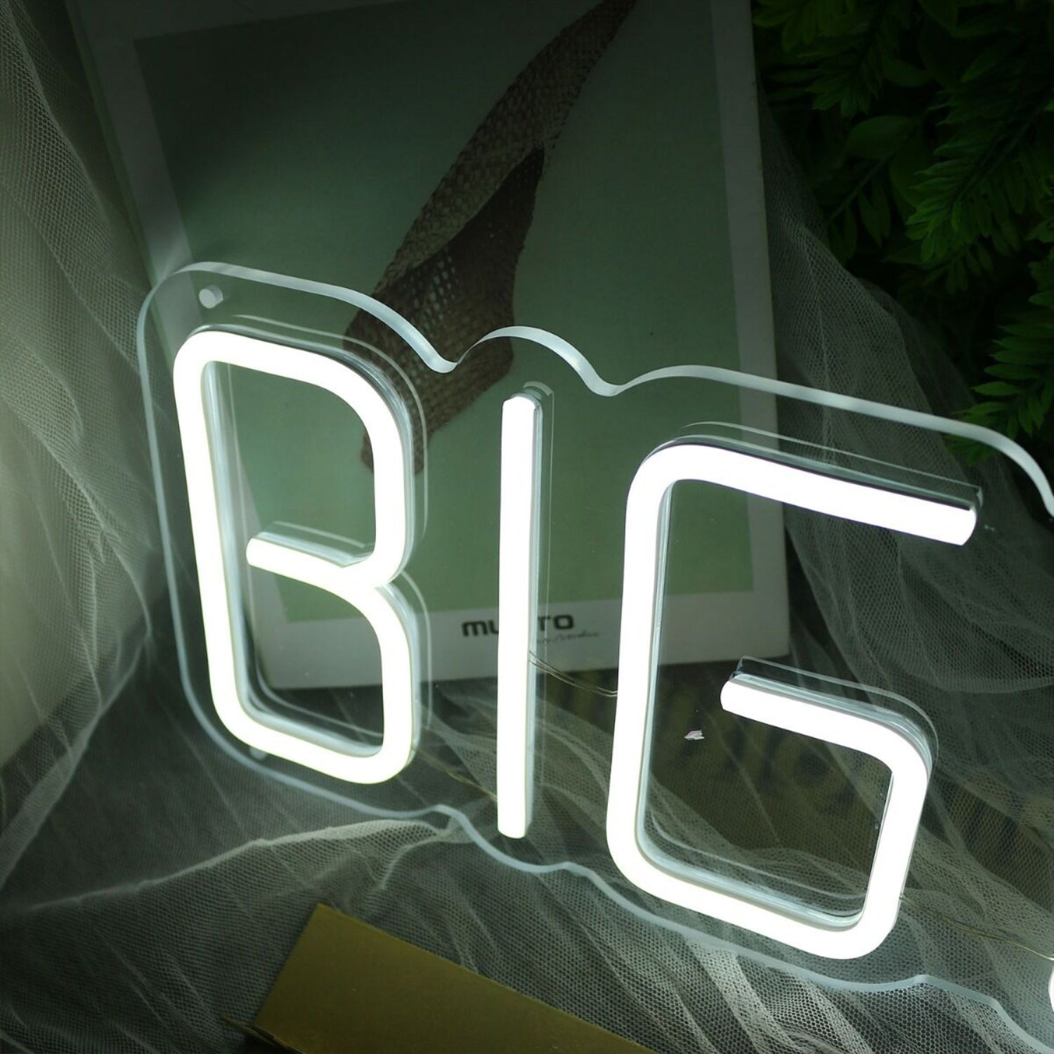 Big Day White Neon Sign | Shineneon