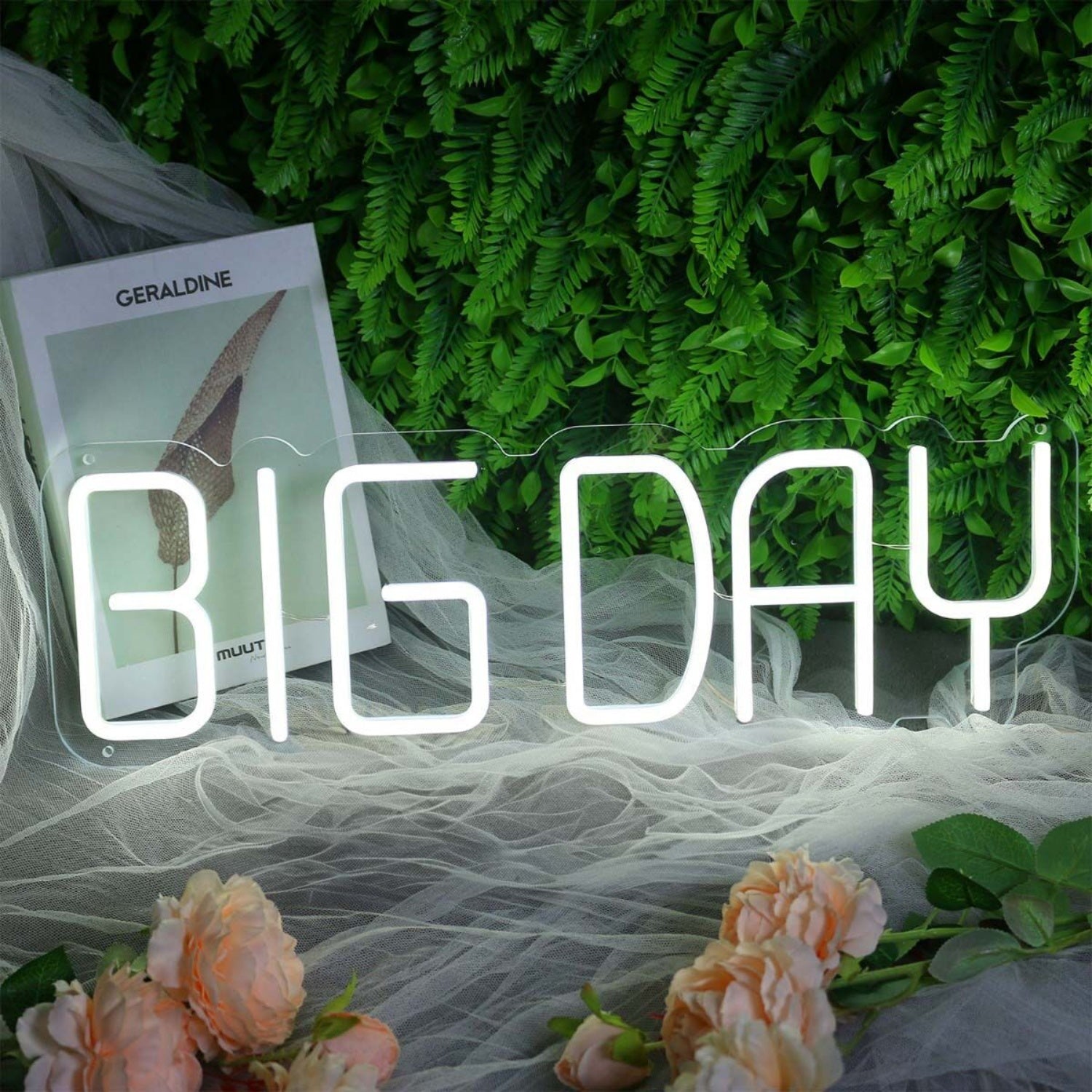 Big Day White Neon Sign | Shineneon