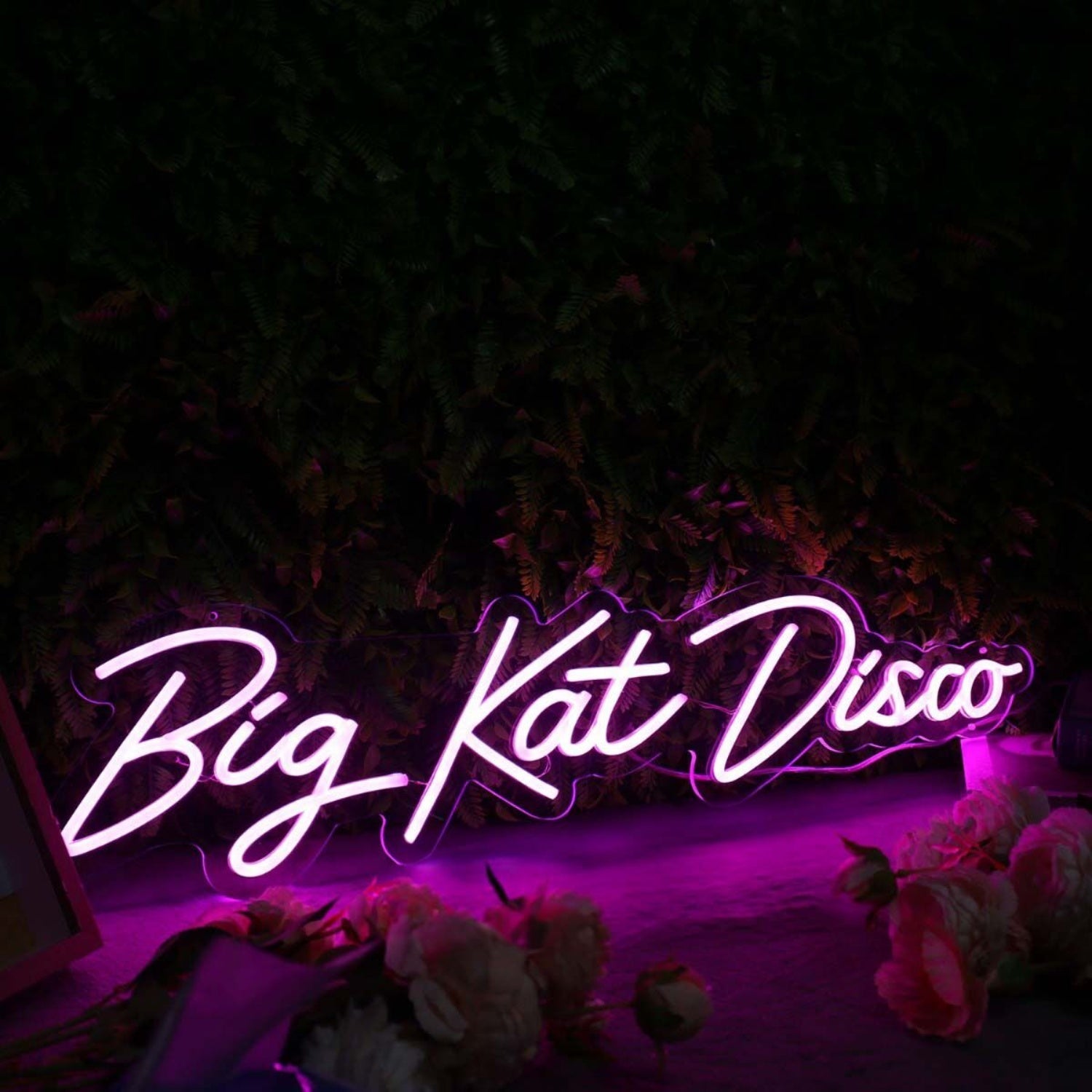 Big Kat Disco Purple Led Neon Sign - Shineneon