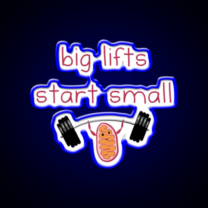 Big Lifts Start Small Gym Fitness Led Neon Sign Rgb Color