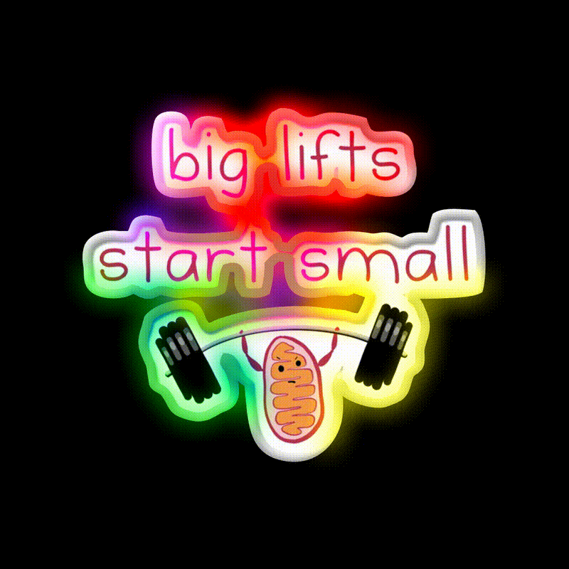 Big Lifts Start Small Gym Fitness Led Neon Sign Rgb Color