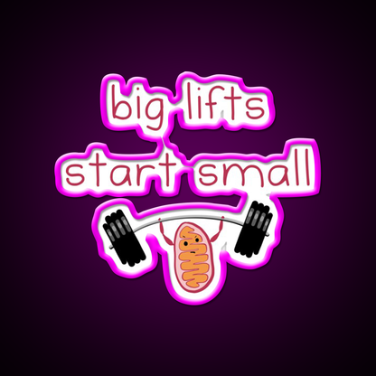 Big Lifts Start Small Gym Fitness Led Neon Sign Rgb Color