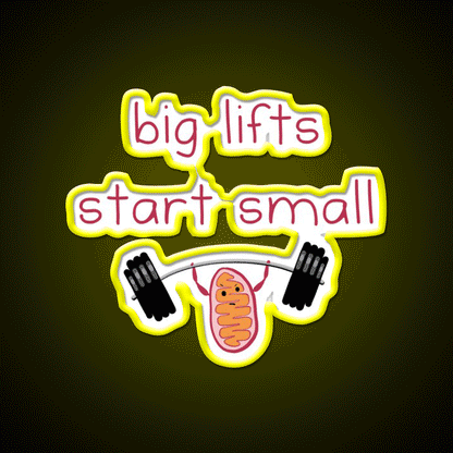 Big Lifts Start Small Gym Fitness Led Neon Sign Rgb Color