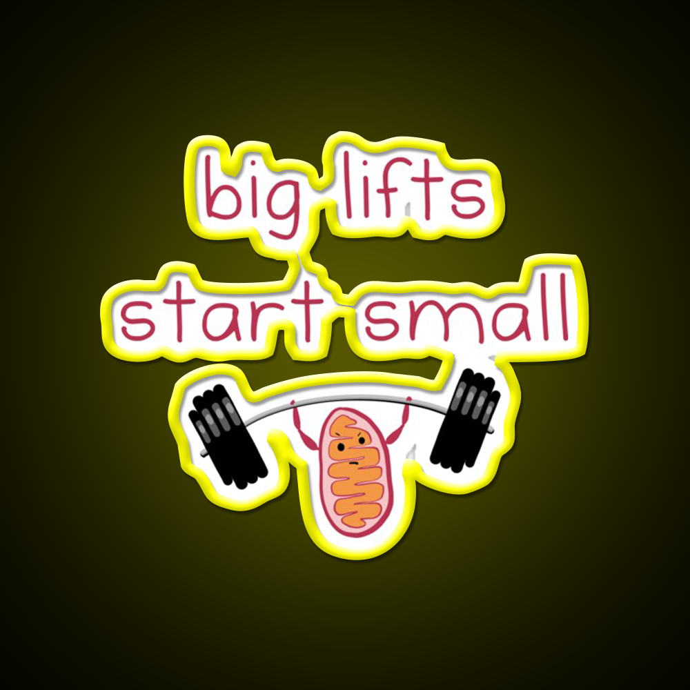 Big Lifts Start Small Gym Fitness Led Neon Sign Rgb Color