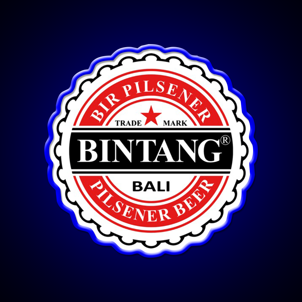 Bintang Beer Style Straight Beer Bar Decor Led Neon Sign Rgb Color - LED neon sign view 5