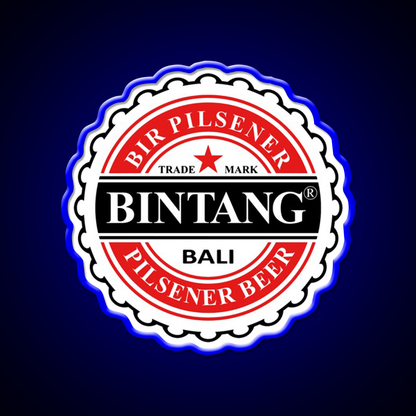 Bintang Beer Style Straight Beer Bar Decor Led Neon Sign Rgb Color - LED neon sign view 5