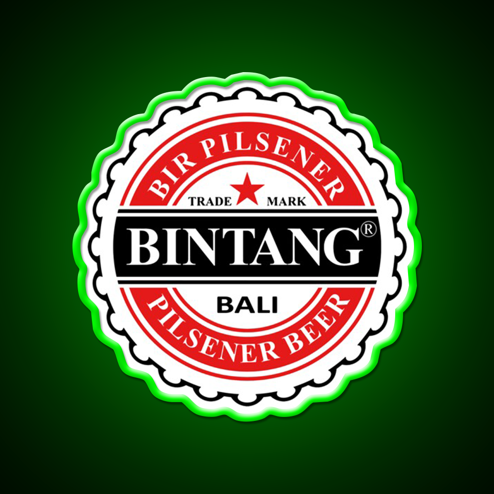 Bintang Beer Style Straight Beer Bar Decor Led Neon Sign Rgb Color - LED neon sign view 8