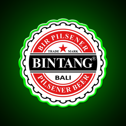Bintang Beer Style Straight Beer Bar Decor Led Neon Sign Rgb Color - LED neon sign view 8