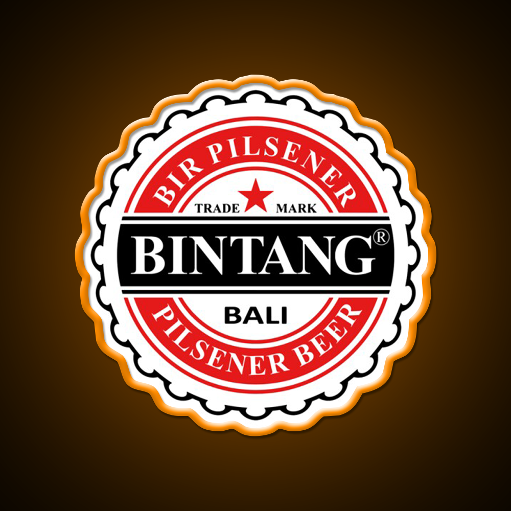 Bintang Beer Style Straight Beer Bar Decor Led Neon Sign Rgb Color - LED neon sign view 6