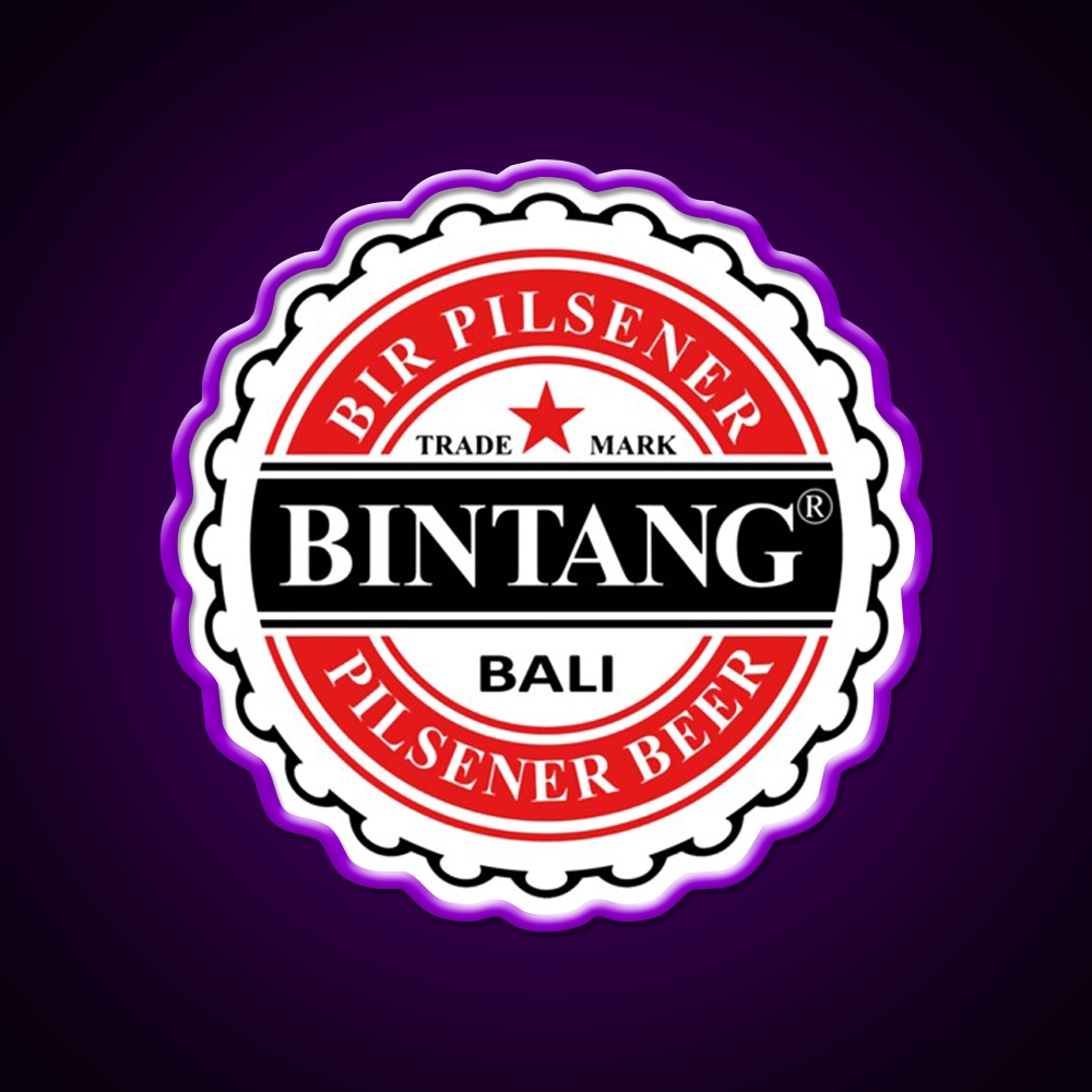 Bintang Beer Style Straight Beer Bar Decor Led Neon Sign Rgb Color - LED neon sign view 9