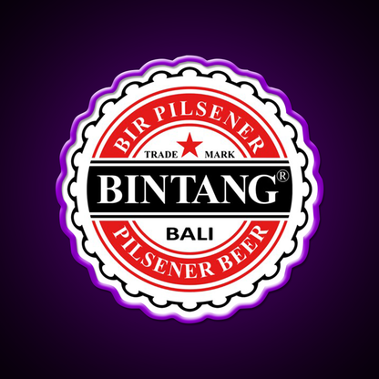 Bintang Beer Style Straight Beer Bar Decor Led Neon Sign Rgb Color - LED neon sign view 9
