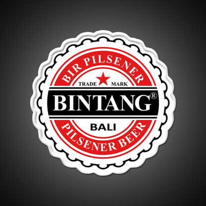 Bintang Beer Style Straight Beer Bar Decor Led Neon Sign Rgb Color - LED neon sign view 11