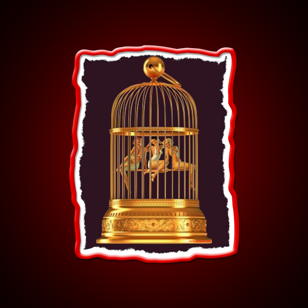 Bird Cage Cocktail Bar Decor Led Neon Sign Rgb Color - LED neon sign view 10