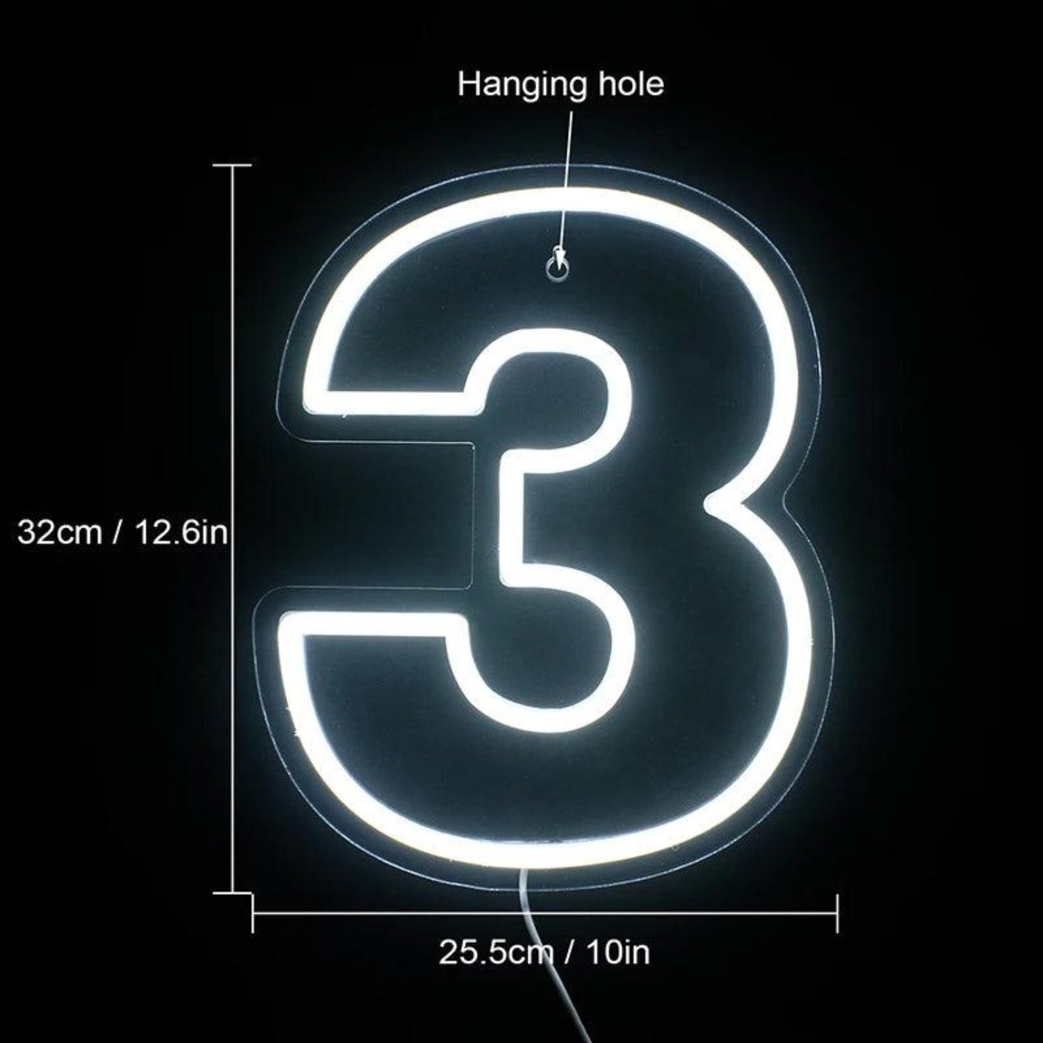 Birthday Number Led Neon Sign For Indoor Party Decor | Shineneon