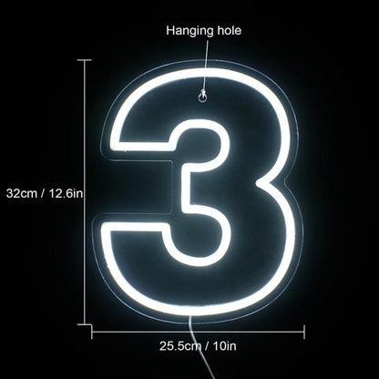 Birthday Number Led Neon Sign For Indoor Party Decor | Shineneon